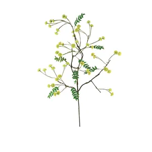 Botanica #3519 4