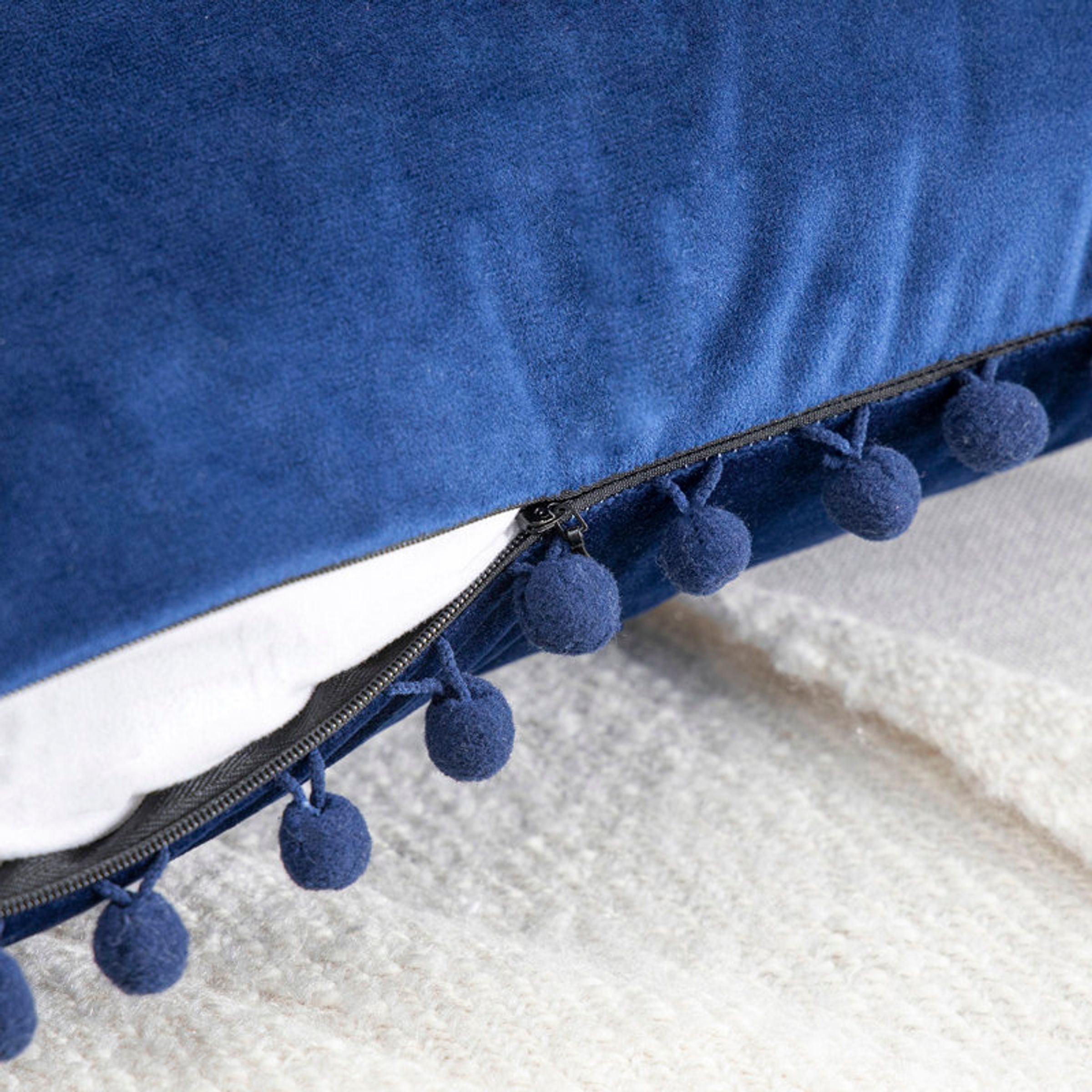 Alaundra Tassels Reversible Throw Pillow