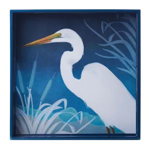 Night Egret