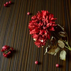 Cranberry Mum 24in 1
