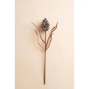 Botanica #2893 3