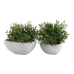 DEVONCLIFF SET OF 2 WHITE PLANTER 4 (IN) 3