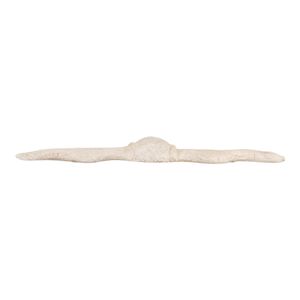CARSONGROVE IVORY WALL SCULPTURE 6 (IN) 6