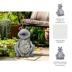 13X10" SITTING FROG WITH SOLAR FLOWERS, GREY MULTI 10