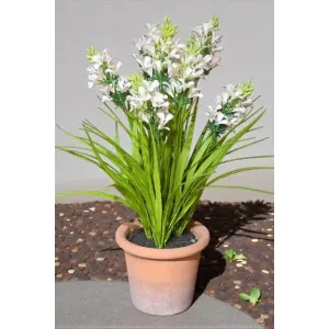 Sunny Fields Pot 18in 2