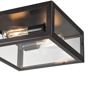 Parameters 12'' Wide 2-Light Flush Mount - Bronze 4