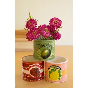 Set of 3 Ceramic Canned Goods Planters 1