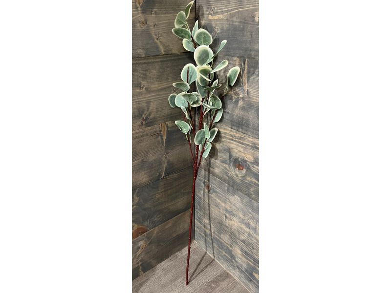 35" Eucalyptus Spray, Variegated 1