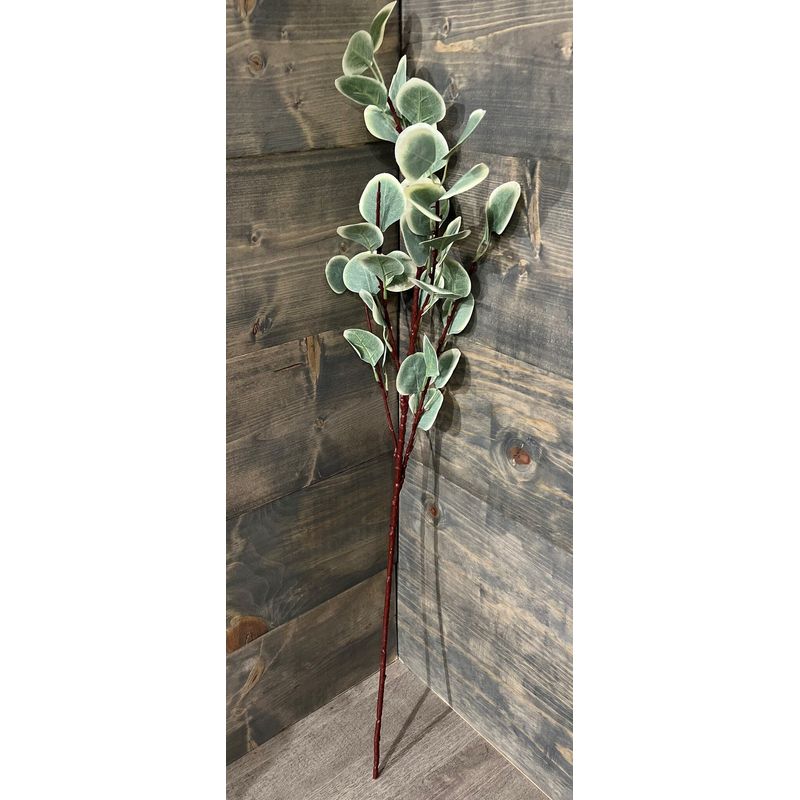35" Eucalyptus Spray, Variegated