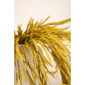 botanica #9043 3