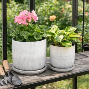 PEARLFIELD SET OF 2 SILVER PLANTER 6 (IN) 11