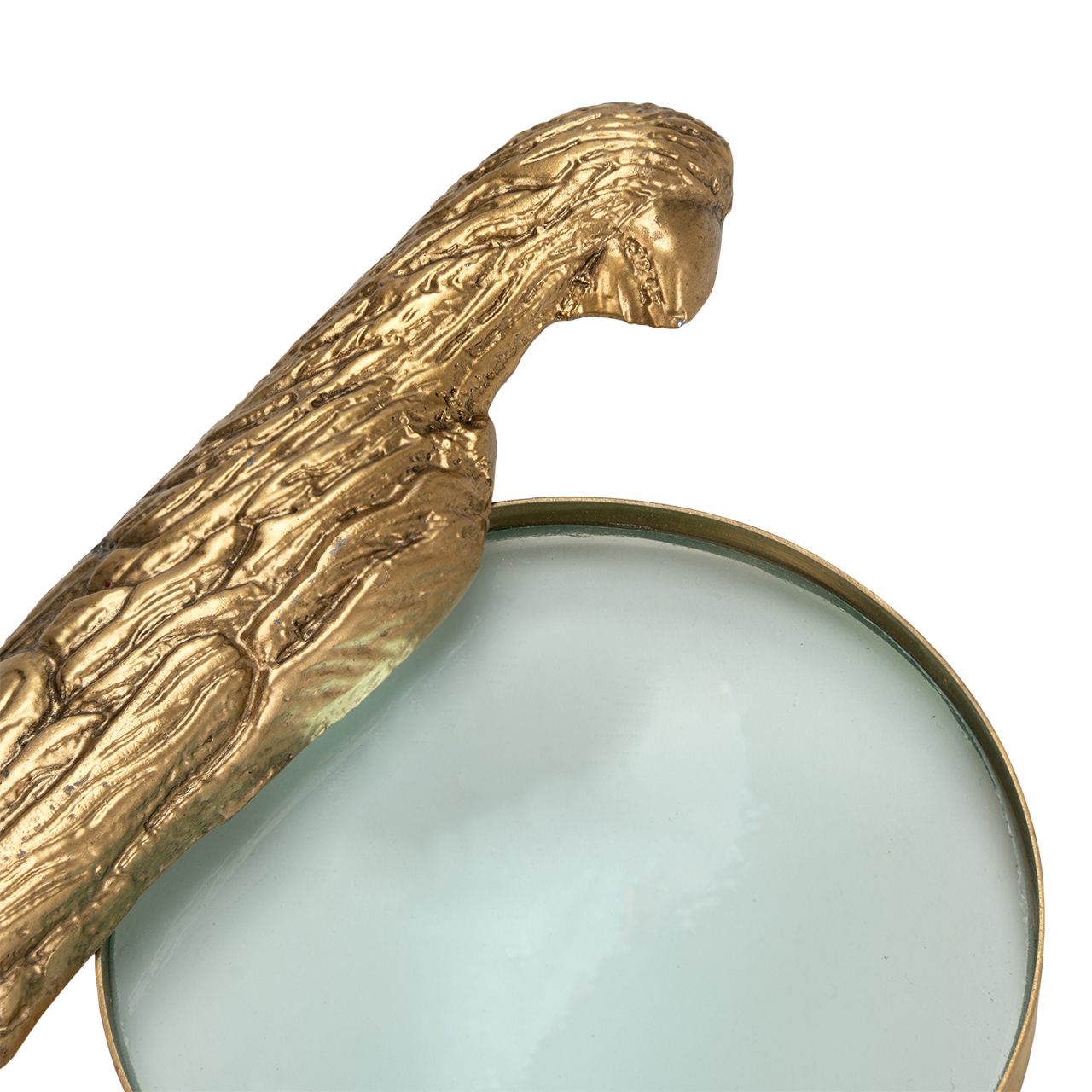 Norine Magnifying Glass 7