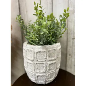 Square Pot 6x6in 1
