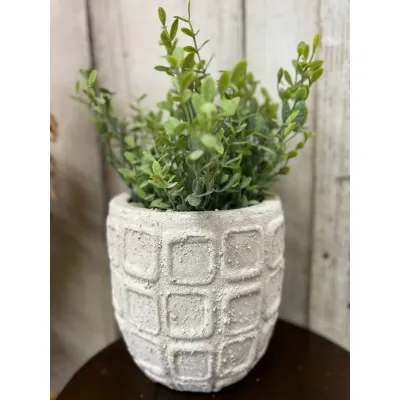 Square Pot 6x6in