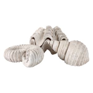 ETHANWICK SET OF 3 IVORY DECOR 5 (IN) 8