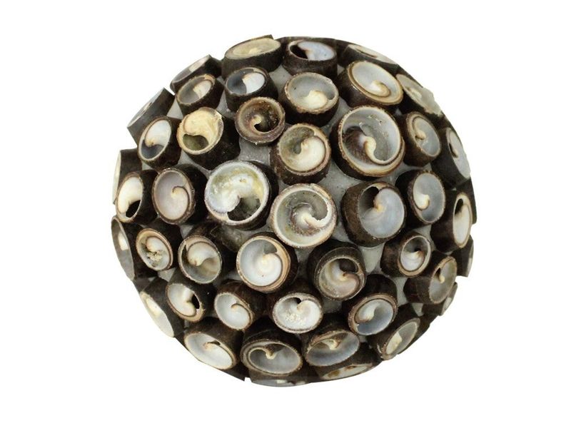 2.75" Esme Seashell Ball 2
