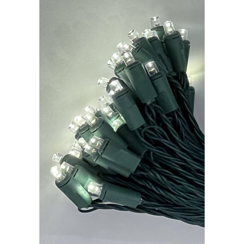 50-Count LED Conical Lights - Battery Operated, Green Wire, Warm White