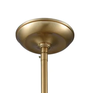 Rutherford 18'' Wide 1-Light Pendant - Satin Brass 3