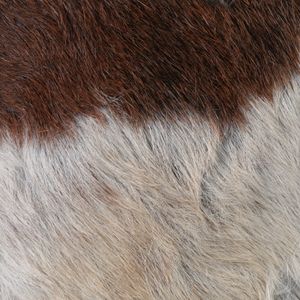 TUCKER TAN OTTOMAN 16 (IN) 8