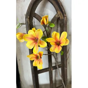 Yellow Magnolia 1