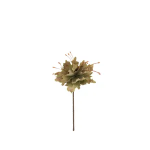 Botanica #2848 4