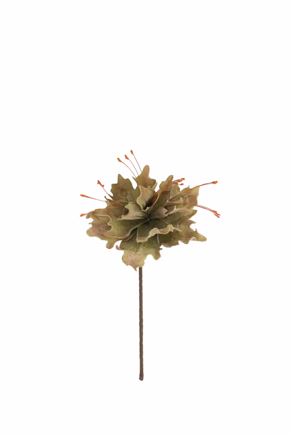 Botanica #2848