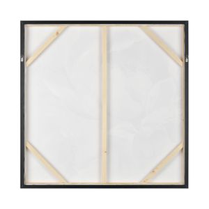 Petal Study Framed Wall Art 3