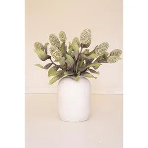 Botanica #2065 2
