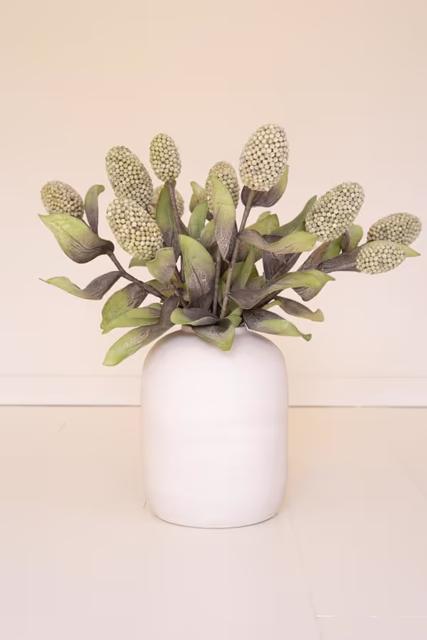 Botanica #2065