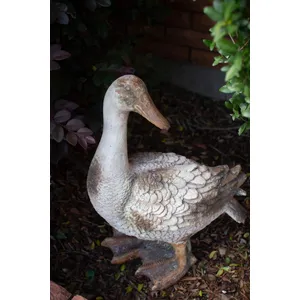 Faux Concrete Duck / Head Up 4