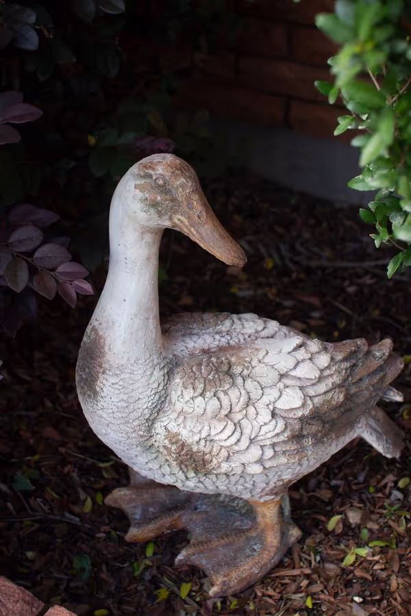 Faux Concrete Duck / Head Up