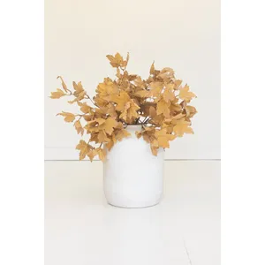 Botanica #9080 2