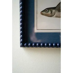 Set of 2 Navy Framed Fish Prints under Glass 2