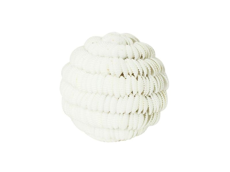 3.9" Clamrose Seashell Ball 1