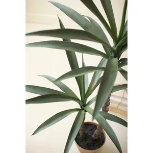 Artificial Heneken Plant with Faux Terracotta Pot 4