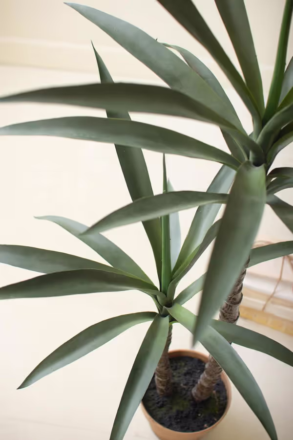 Artificial Heneken Plant with Faux Terracotta Pot