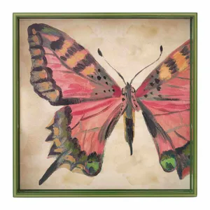 Butterfly Study