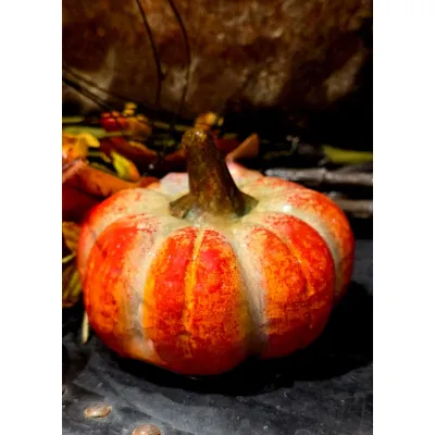 Harveston Pumpkin 4x4x3in