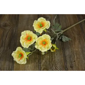 Cream Poppy Pick 32in 1