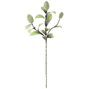 Botanica #2065 4