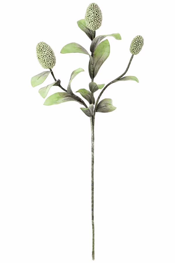 Botanica #2065