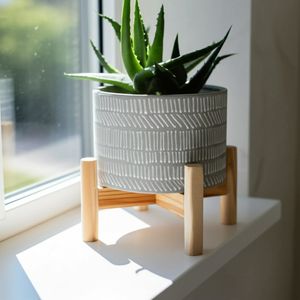 MIABROOK IVORY PLANTER 6 (IN) 13