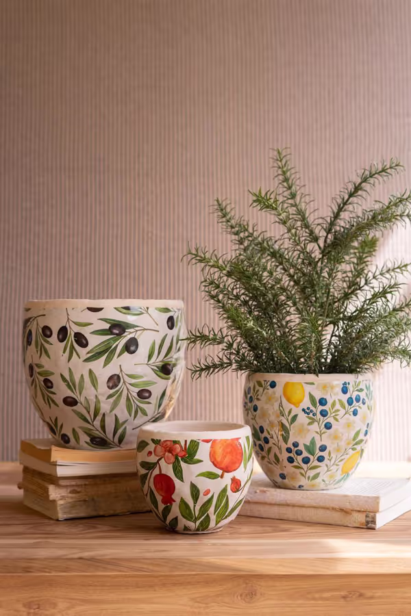 Set of 3 Cement Planters with Olives, Lemons, and Pomegranates