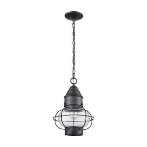 Onion 10'' Wide 1-Light Outdoor Pendant - Oil Rubbed Bronze 5