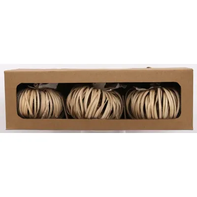 Cane Split Pumpkin Set of 3