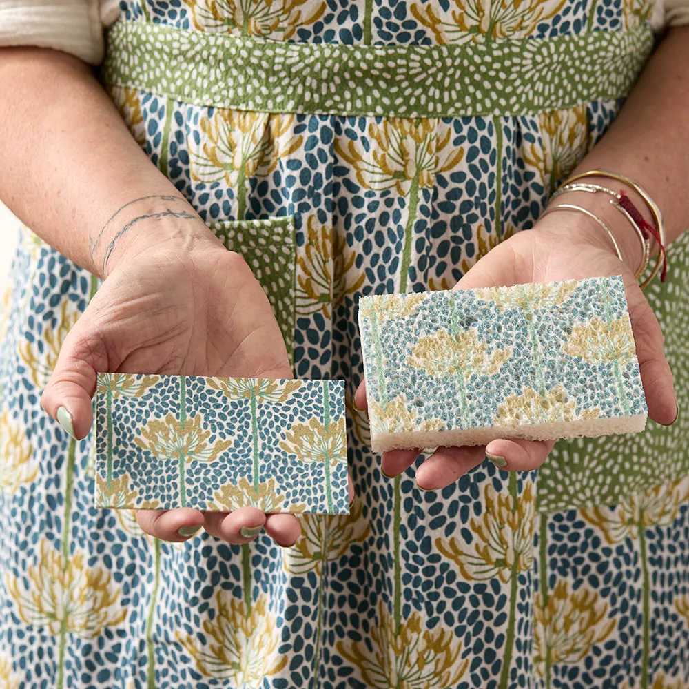 Egret & Reed Pop-Up Sponge Set 3