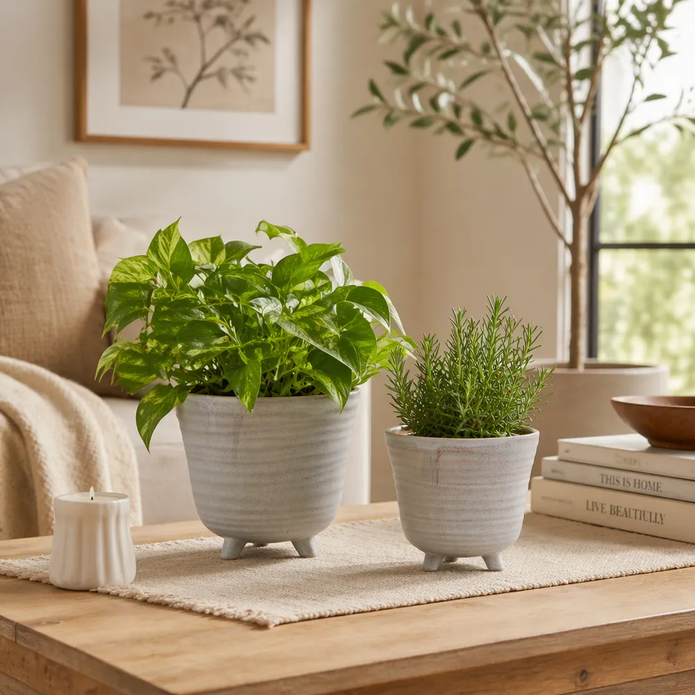 REXDALE SET OF 2 IVORY PLANTER 6 (IN)