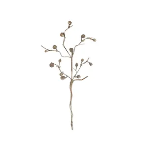botanica #2863 4