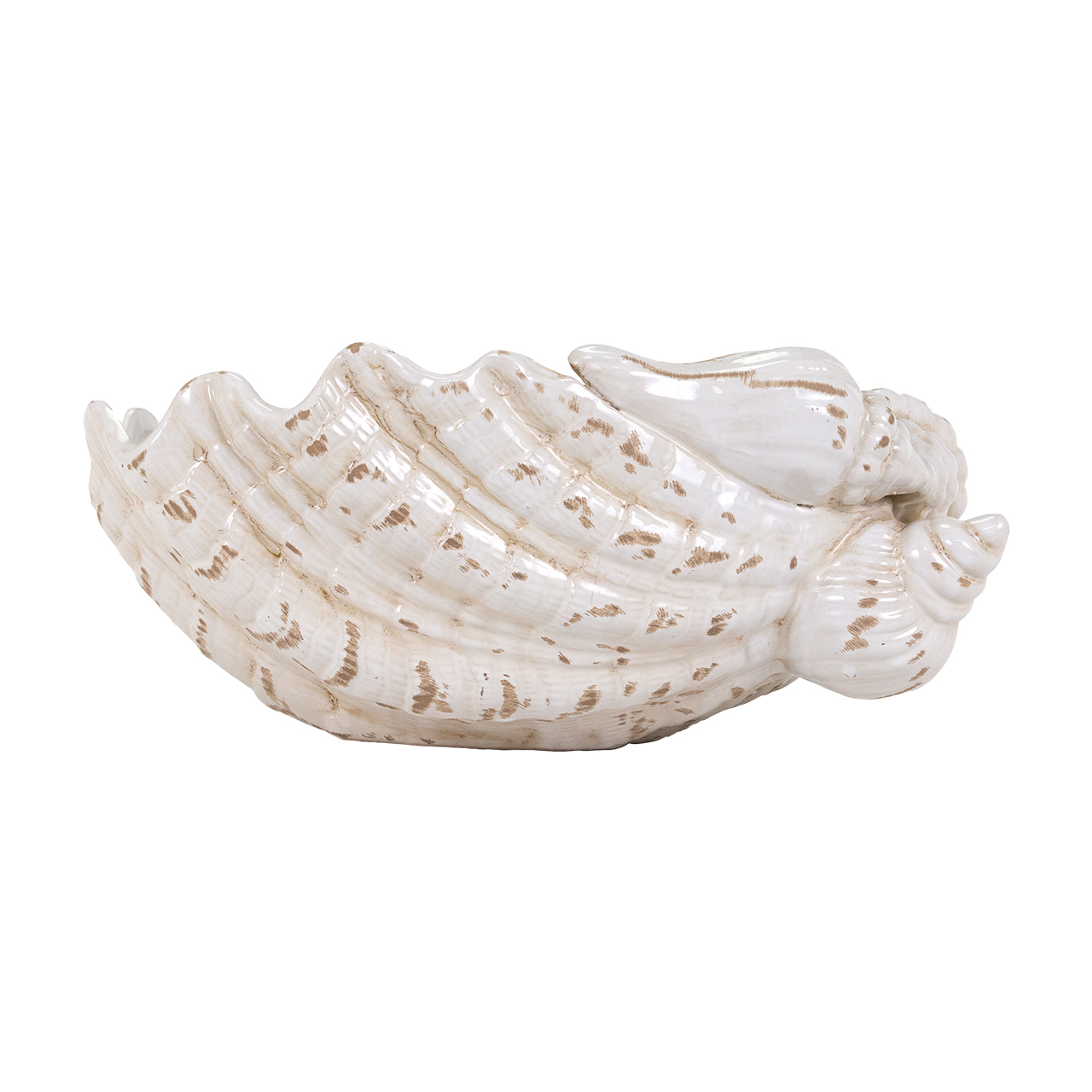Giant Clamshell Bowl 4