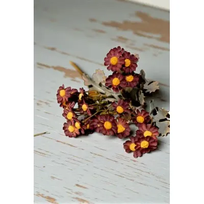 Burgundy  Chamomile Stem 10in